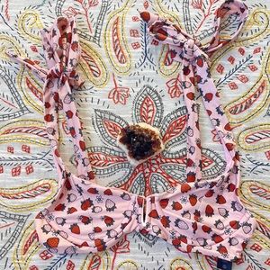 FOR LOVE AND LEMONS Strawberry Bathing Suit Top 🍓